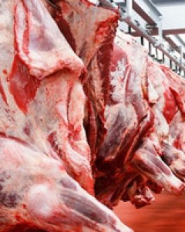 Buy HALAL Fresh-Frozen Beef whole carcass online