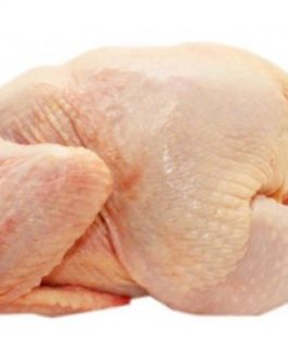 Buy Halal Frozen Whole Chicken-Grade A online